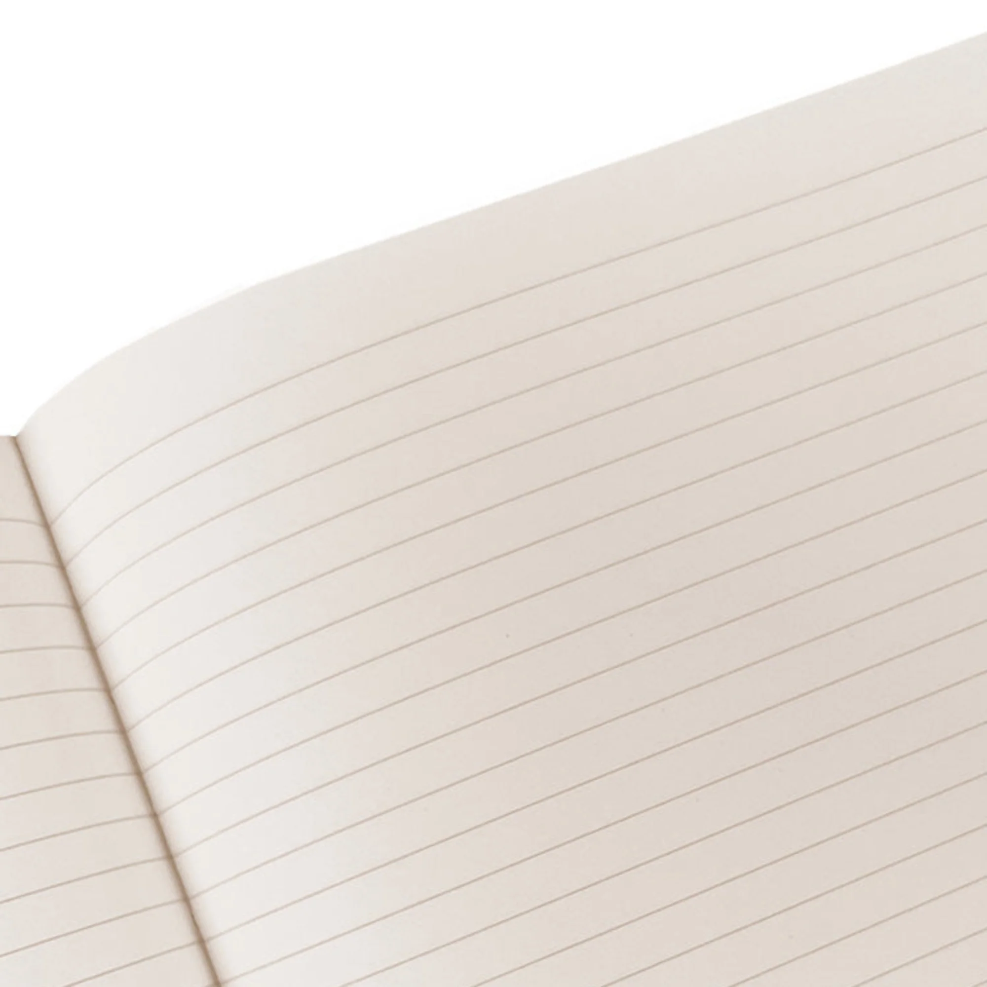 Large Bristol Journal - Image 9