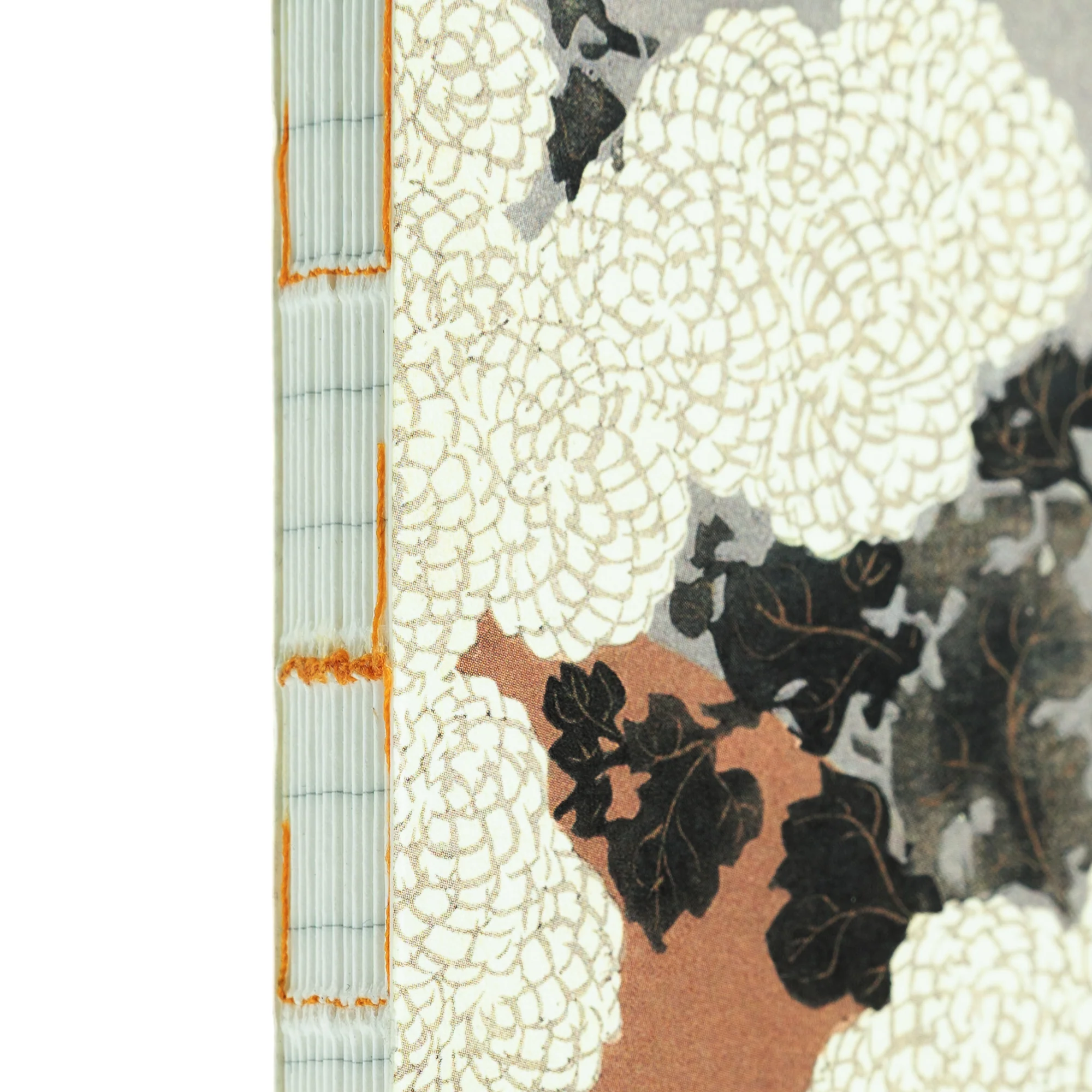 Illustrated Book Series Refills Passport - Image 12