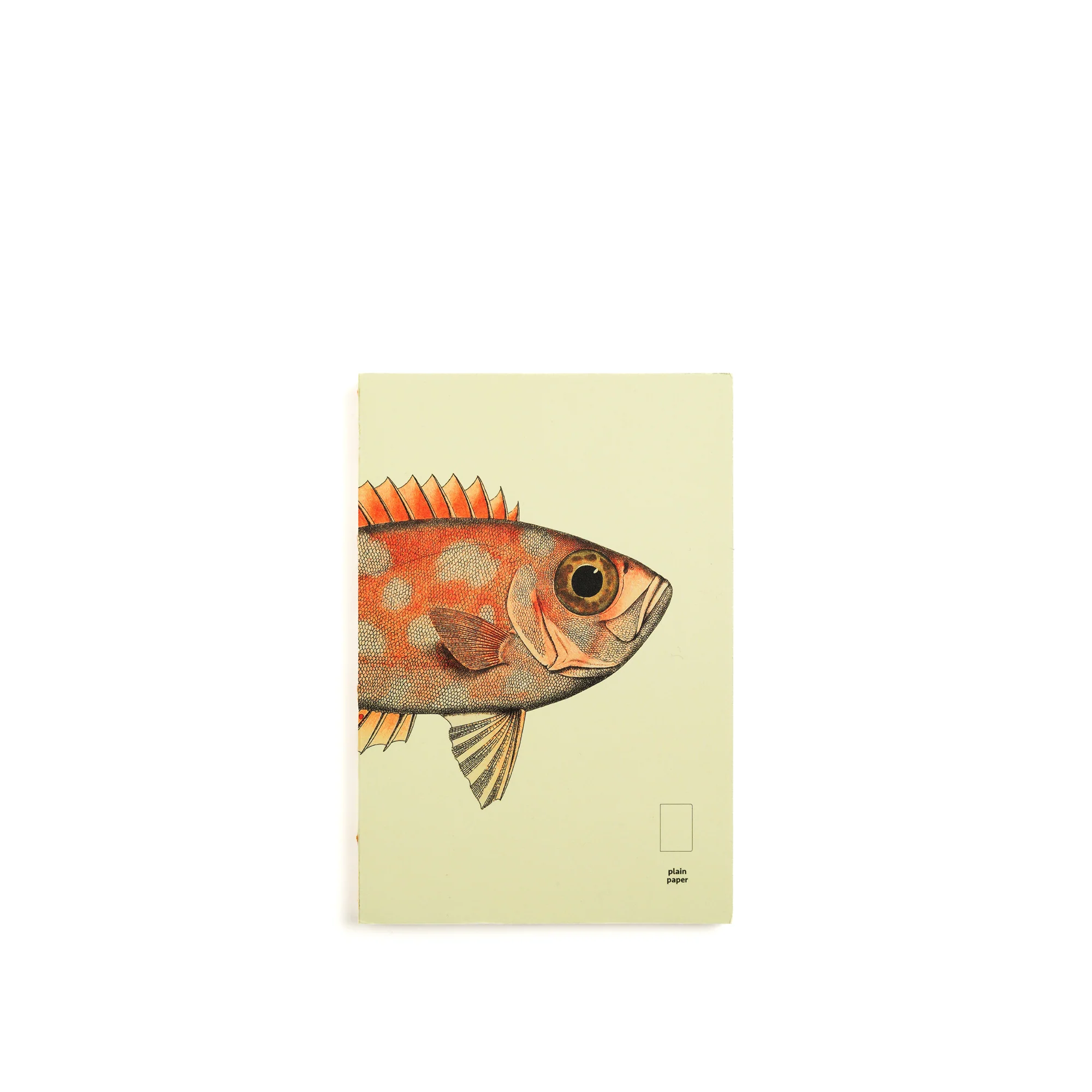 Illustrated Book Series Refills Passport - Image 13