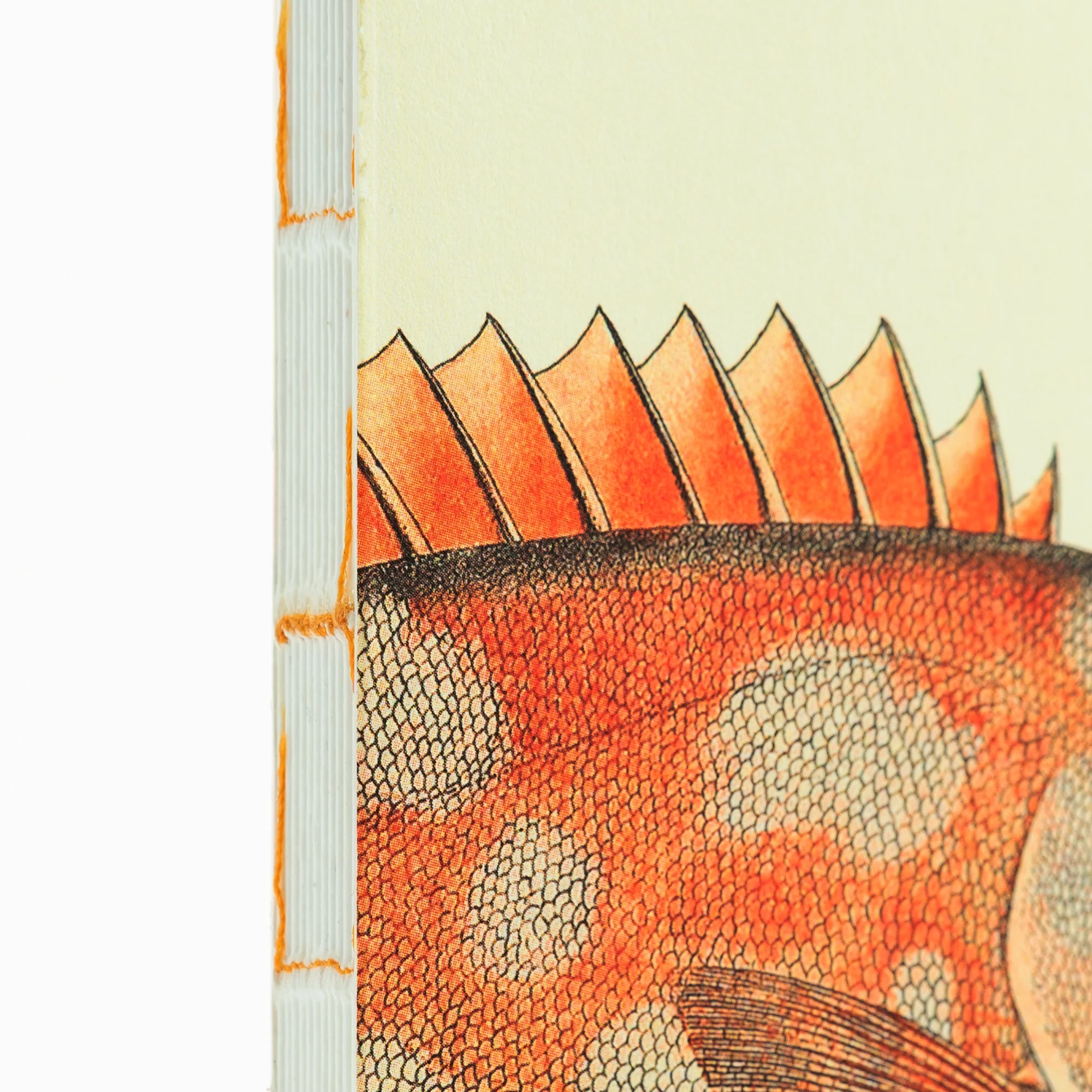 Illustrated Book Series Refills Passport - Image 16