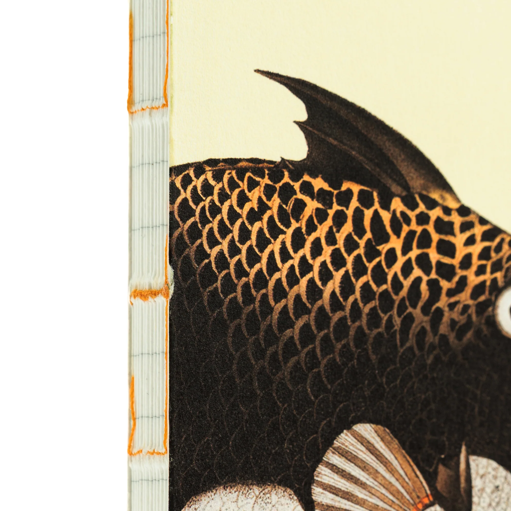 Illustrated Book Series Refills Passport - Image 20