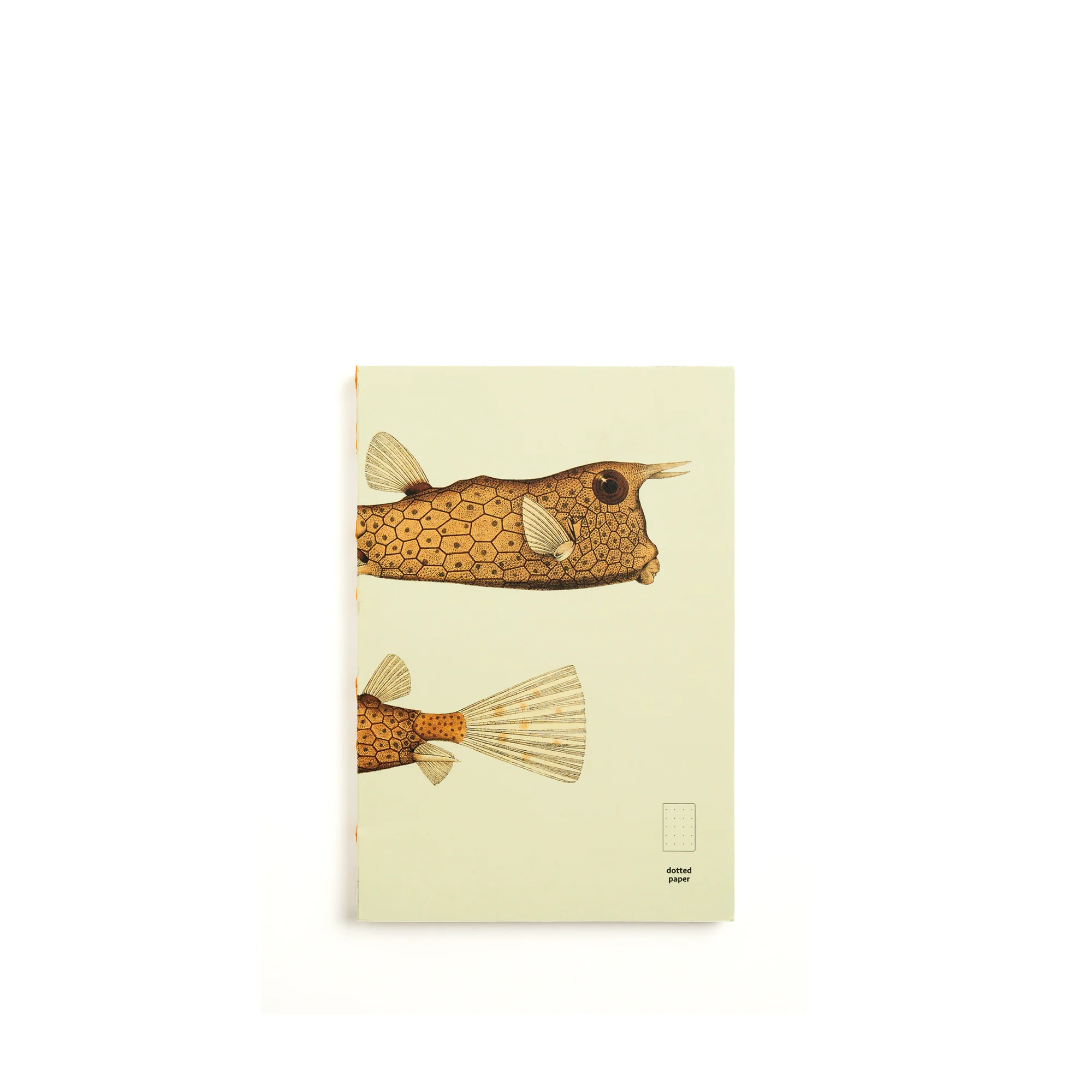 Illustrated Book Series Refills Passport - Image 21