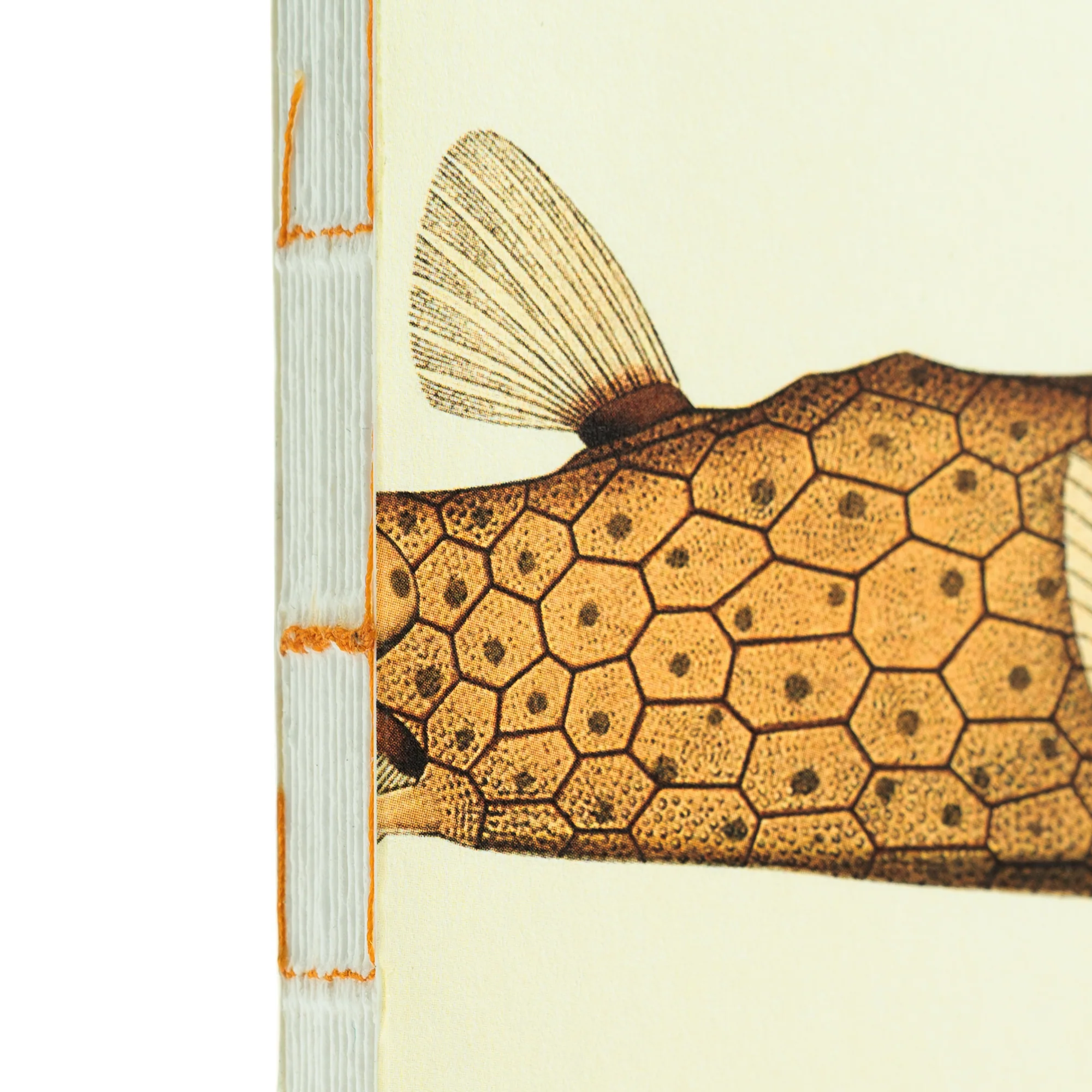 Illustrated Book Series Refills Passport - Image 24