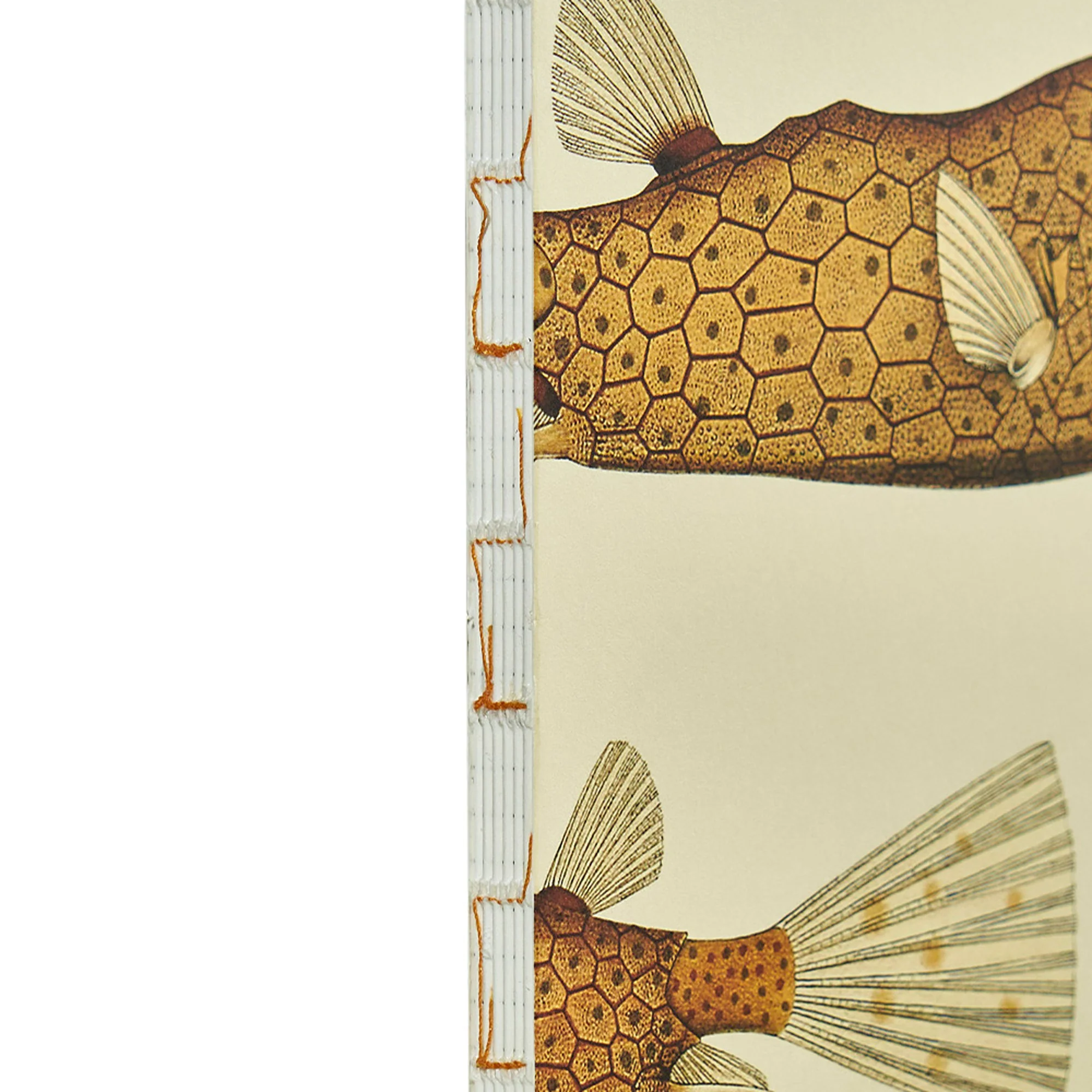 Illustrated Book Series Refills XL - Image 11