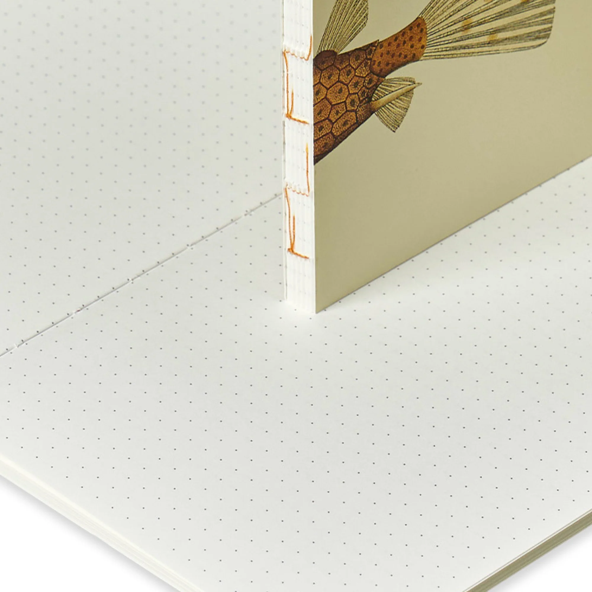 Illustrated Book Series Refills XL - Image 12