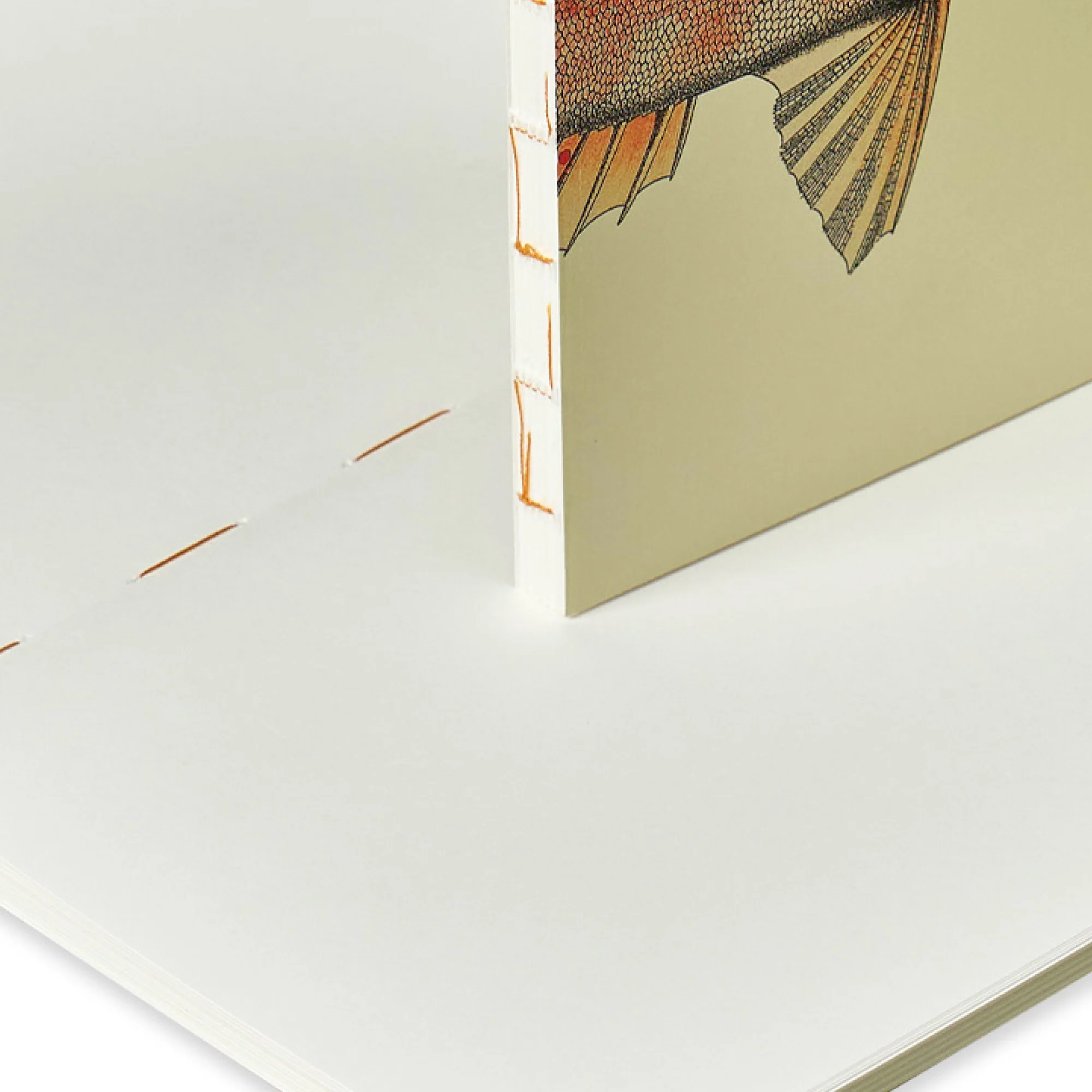 Illustrated Book Series Refills XL - Image 4
