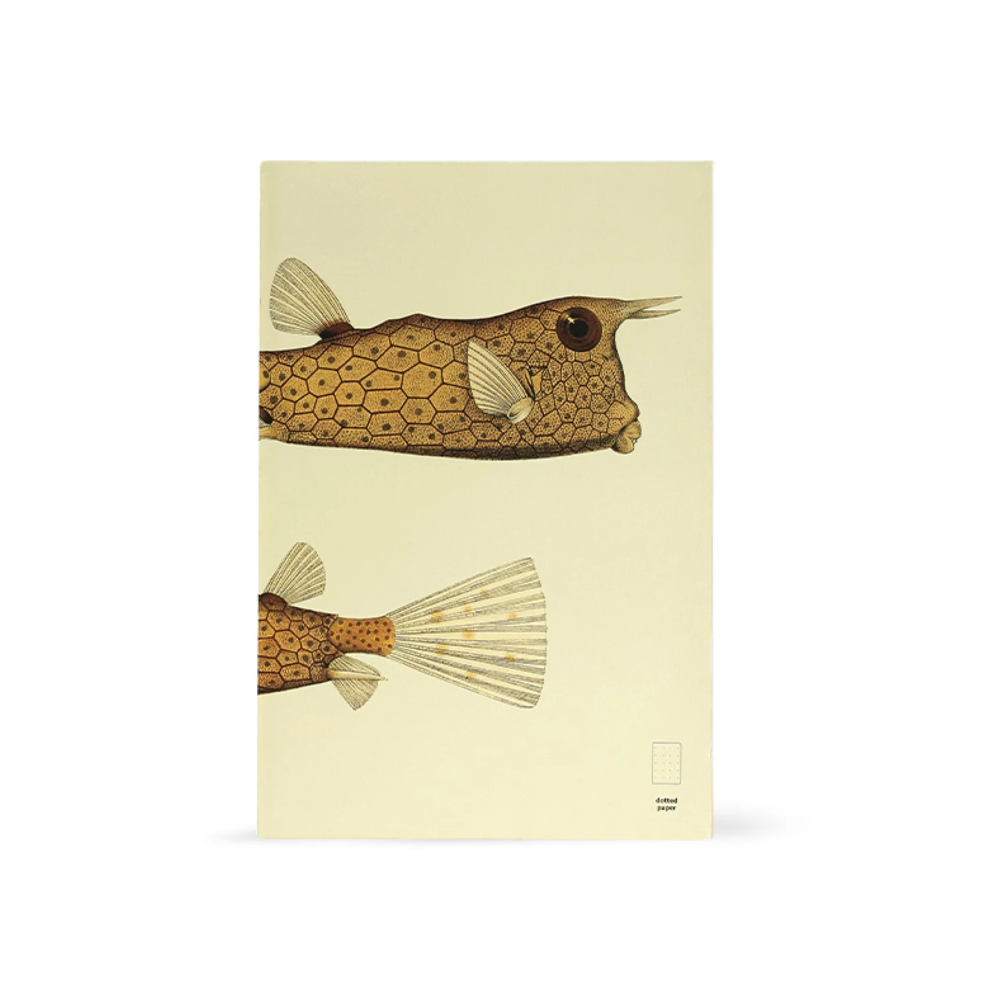 Illustrated Book Series Refills XL - Image 9