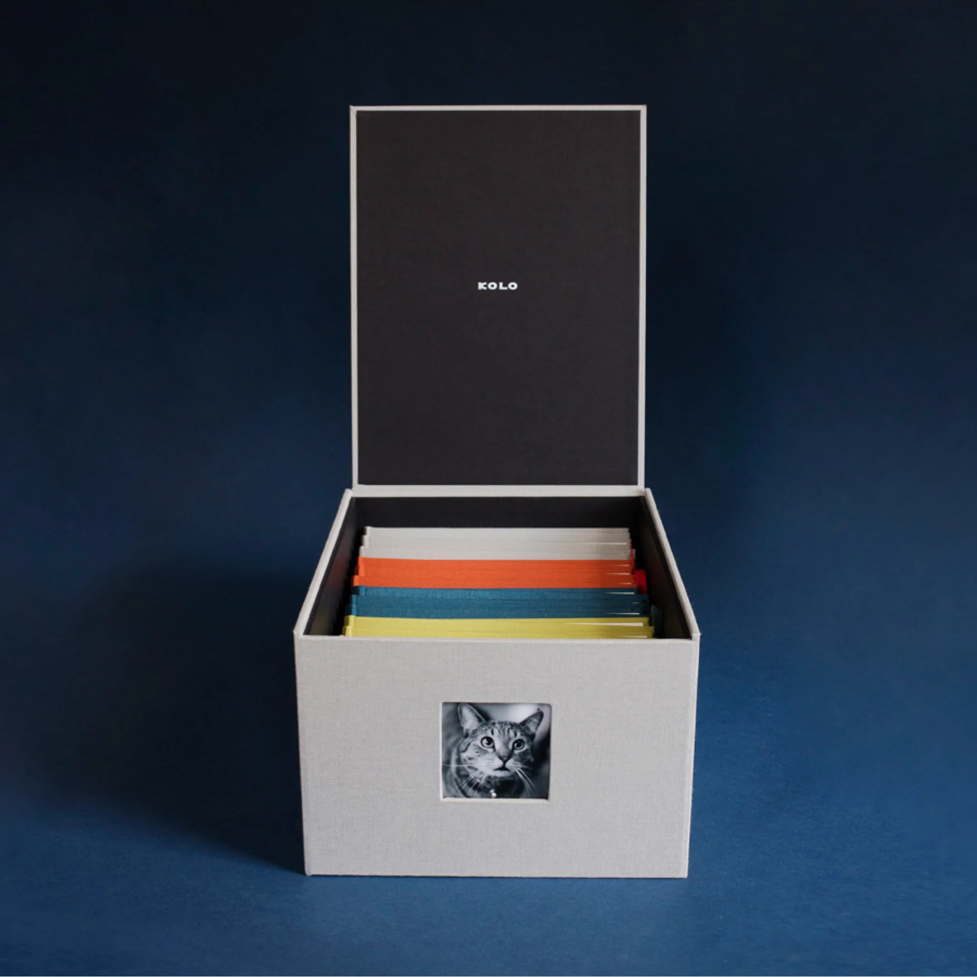 Havana Medium Archive Box - Image 7