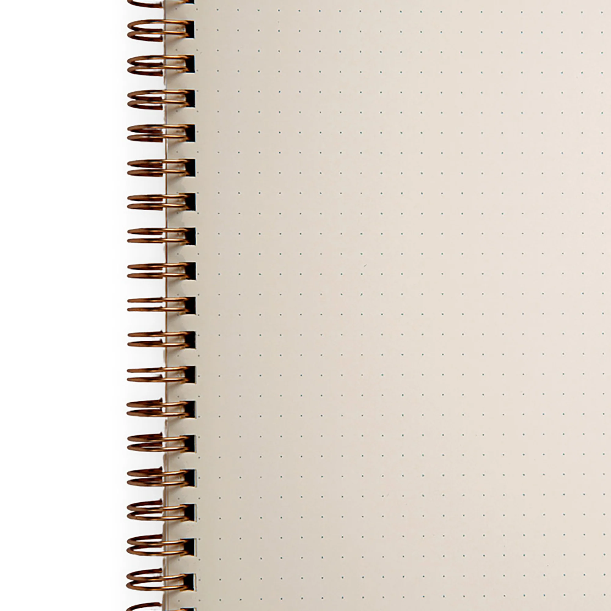 Romeo Notebooks - Image 15