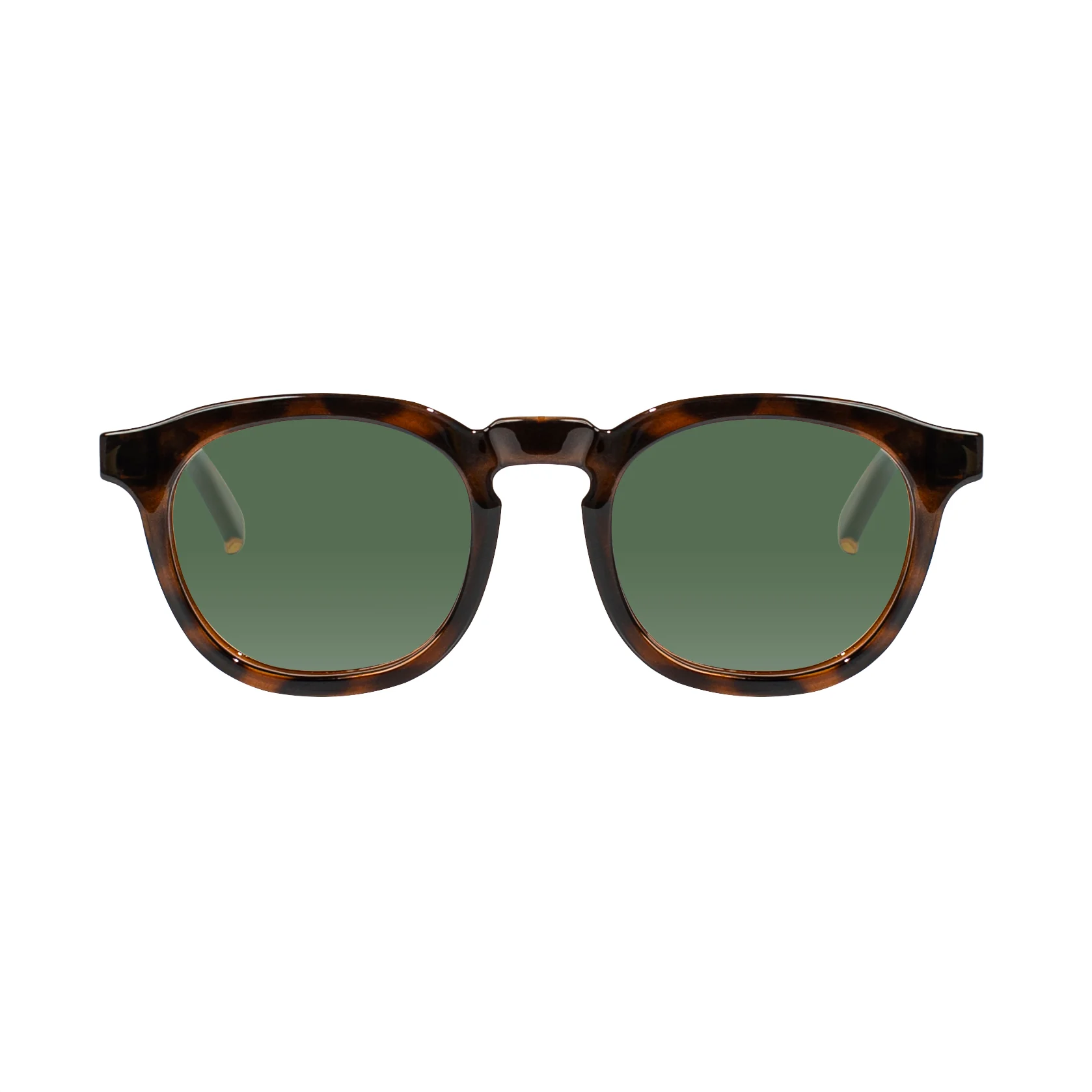 Webster Sunglasses - Image 3