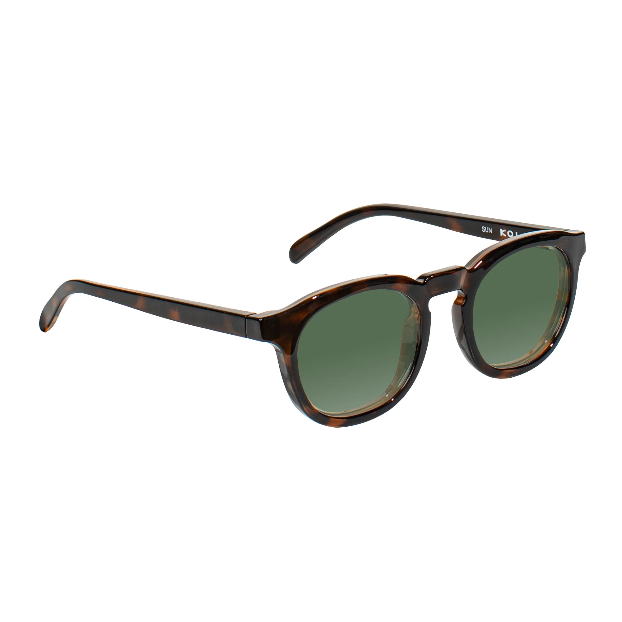 Webster Sunglasses - Image 4